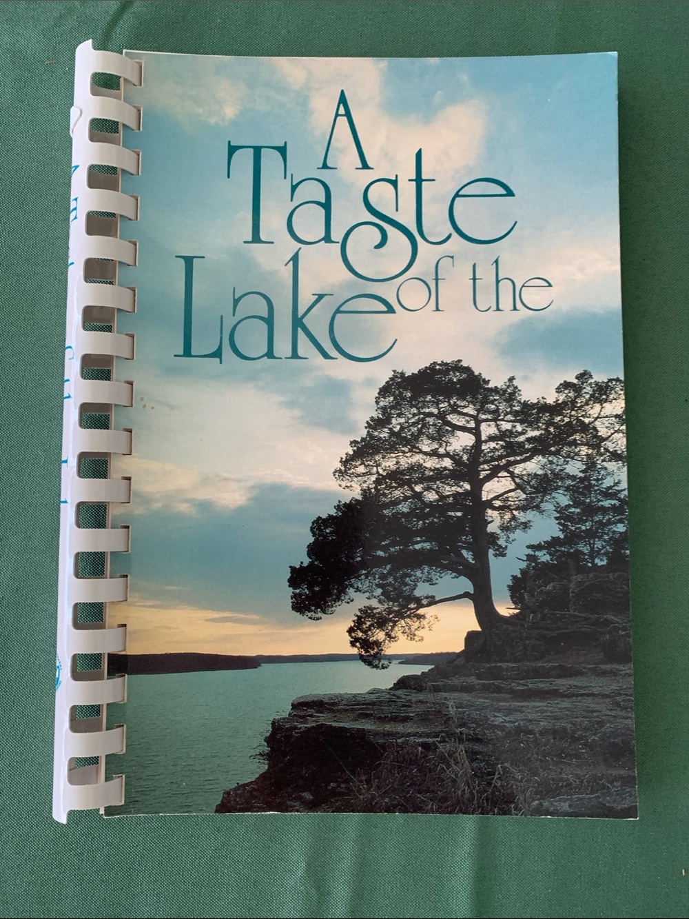 1993 Community Cookbook . From The Ozark Region In Missouri. 9” X 6.50”
